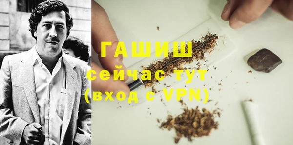 дмт Гусев