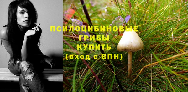 прущий лед Гусь-Хрустальный