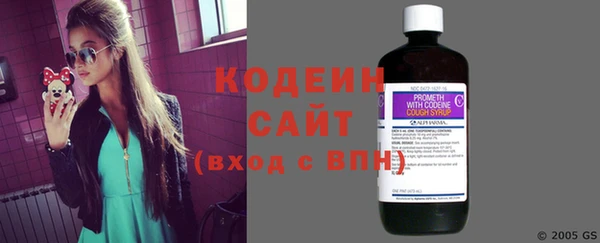 дмт Гусев