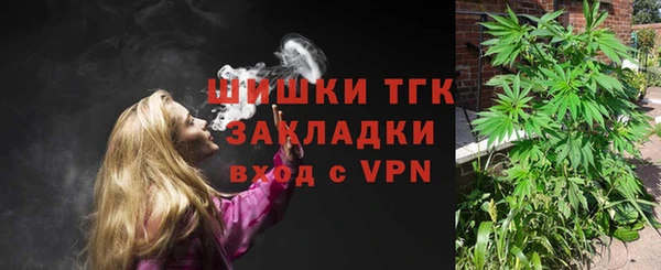 гашик Вязьма