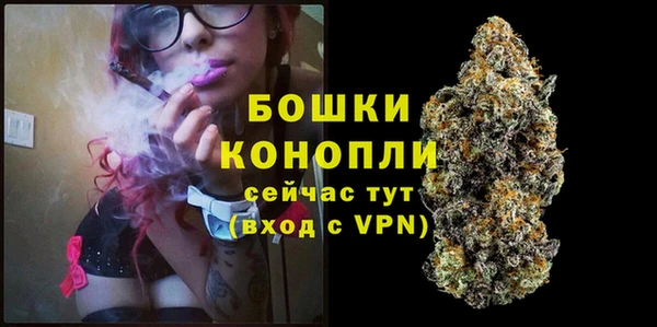 гашик Вязьма