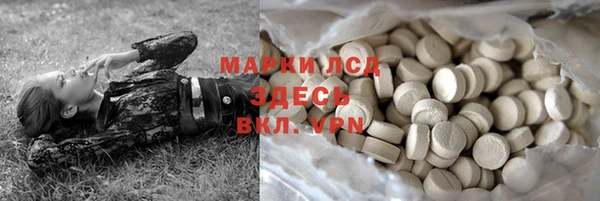 дмт Гусев