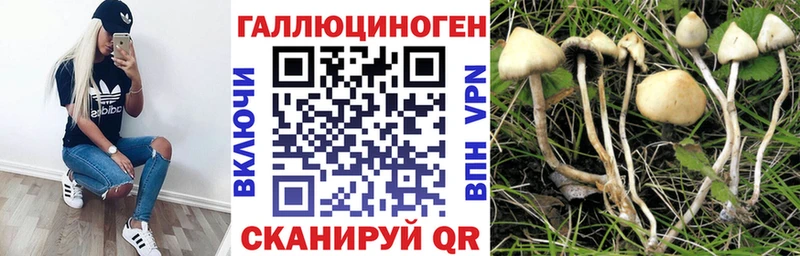 Псилоцибиновые грибы прущие грибы  Дигора 